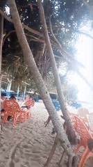 Beachgoers relax under trees in Lhokseumawe, Indonesia