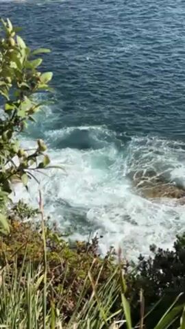 The video shows a view of the ocean from a cliff. Waves are crashing against the rocks below. There is some greenery in the foreground, including bushes and tall grass. The ocean is deep blue. The sun is shining, and the sky is clear.