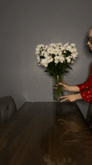 Woman arranges white daisies in Saint Petersburg apartment