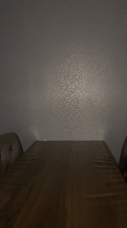 Woman arranges white daisies in Saint Petersburg apartment