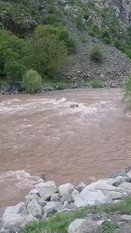 The video depicts a river with brownish, murky water flowing rapidly amidst a rocky, mountainous environment. On either side of the river are rocky banks and a steep slope covered with green foliage. The camera remains mostly static, offering a wide shot of the natural landscape. No people or animals are visible in the scene. The water's surface is disturbed by the rapid current, creating visible waves and turbulences.