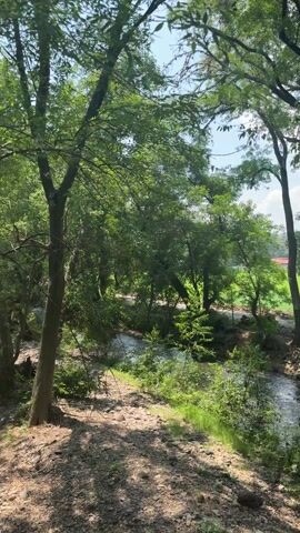 The camera pans slowly to the right, offering a tranquil view of a narrow stream flowing through a forest. The stream, its surface reflecting the sky, meanders amidst dense green vegetation and trees with lush canopies. The foreground is composed of a rocky, somewhat barren terrain with sparse grass. As the camera pans further, a glimpse of a green field and a building with a red roof appears in the distance, providing a contrast to the natural setting. The scene is bathed in daylight, with the sun filtering through the leaves, creating dappled shadows on the ground.