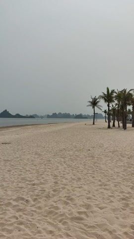 A person is running barefoot on a sandy beach. They are wearing a grey t-shirt and a pink floral print skirt. They have a dark bag slung over their shoulder and their hair is up. In their hand, they are holding a dark hat. They run away from the camera, toward the ocean and islands on the horizon. There are palm trees along the right side of the shot. The sky is overcast and light grey.
