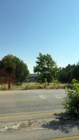 The video shows a view from a vehicle moving along a paved road with two yellow lines. On the left side of the road, there are sparse bushes and trees. On the right side, there is a dense line of trees forming a hillside, with a metal guardrail separating the road from the vegetation. The sky is clear and blue. The video captures the passing scenery as the vehicle travels.