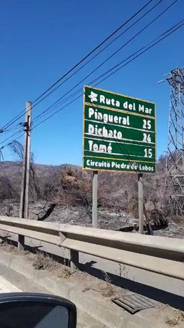 The video shows a landscape of hills covered in burnt trees and vegetation, seen from a moving vehicle. A metal guardrail runs along the side of the road. Power lines and utility poles are visible overhead. As the vehicle moves forward, a glimpse of a town or industrial area with tanks and other structures can be seen in the distance. The sky is clear and blue.
