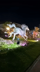 Nighttime scenes captured around illuminated attractions in Nha Trang