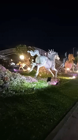 Nighttime scenes captured around illuminated attractions in Nha Trang