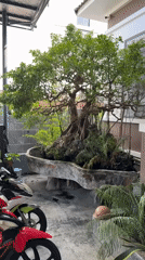 Morning scenes across Nha Trang's urban landscape and local life