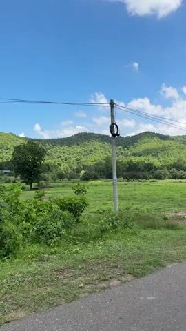 This video captures a roadside view of a lush green landscape. In the foreground, a paved road with yellow dashed lines runs from right to left. To the left of the road, a vast expanse of green grass stretches out, dotted with a few bare patches. In the mid-ground, a line of trees and vegetation separates the field from a towering, verdant mountain range that dominates the background. The sky above is a brilliant blue, punctuated by fluffy white clouds. A utility pole with some sort of equipment attached stands on the left side of the frame. The camera appears to be moving, possibly from a vehicle, as the perspective shifts slightly throughout the short clip.