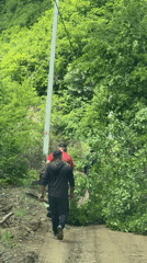 Men clear wooded path debris in Bevreti, Georgia