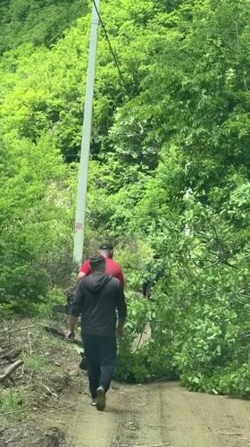 Men clear wooded path debris in Bevreti, Georgia