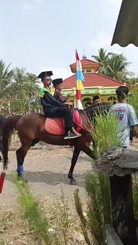 The video shows a procession with people riding on horses. The horses are adorned with decorative blankets and some have colorful ear coverings. Two individuals are seated on the back of a brown horse in the foreground, both wearing graduation caps and academic gowns. The person in the front is holding a child. The horse is being led by a person walking alongside it. In the background, there are other horses and people, some of whom are carrying flags. A building with a red tiled roof and a mosque-like structure with a dome and minaret is visible behind the procession. The environment appears to be outdoors, with palm trees and other vegetation present. The sky is clear and the sun is shining. The overall scene suggests a celebratory event, possibly a graduation parade or festival.