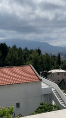 Morning documentation captured in coastal Montenegro residential area