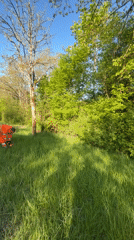 Morning sunlight illuminates spring landscape in Luxembourg