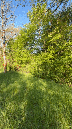 Morning sunlight illuminates spring landscape in Luxembourg