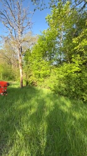 Morning sunlight illuminates spring landscape in Luxembourg