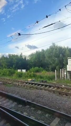 The video is a first-person perspective from a moving train. The train tracks are in the foreground, and the landscape outside the window consists of lush green trees and vegetation. Overhead, power lines and a signal post are visible against a bright blue sky with scattered clouds. Reflections on the train window show glimpses of the sky and trees. The overall scene depicts a journey through a natural, possibly rural, environment during the daytime.