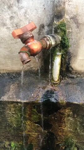 A dripping faucet, corroded and stained orange and green with rust and moss, leaks water onto a grimy concrete surface below. Water streams down, pooling in a shallow basin filled with dark, murky water and patches of green algae. The background is a rough, textured concrete wall. The scene suggests neglect and disrepair.
