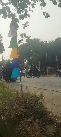 The video captures a street scene on a cloudy day, possibly in Southeast Asia, given the presence of conical hats worn by some individuals. A prominent feature is a wooden pole adorned with a series of colorful, conical flags in red, green, yellow, blue, and light blue, attached to branches overhead. In the foreground, tall, dry grass and foliage line a ditch or embankment. The street itself is paved and appears to be a road. A procession of people, many on motorcycles, is moving along the street. Some individuals are walking, and one person in the foreground is standing near the flagpole, looking towards the procession. Several motorcycles are visible, some ridden by individuals in dark clothing, and one appears to have a rider wearing a green vest. In the background, trees and houses are visible, suggesting a semi-rural or suburban setting. The overall atmosphere seems festive or celebratory, possibly due to the flags and the gathering of people.
