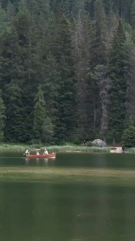 The video shows a wooden rowboat with three people inside on a calm, green lake. The boat is positioned on the left side of the frame and is moving from left to right. The people in the boat appear to be enjoying a leisurely outing. Behind the lake, a dense forest of tall pine trees covers a hillside. The trees are a deep green, suggesting it is a lush, natural environment. The lighting suggests it is daytime, likely afternoon, with soft, diffused light indicating overcast or partly cloudy skies. The overall atmosphere is peaceful and serene, with the natural beauty of the landscape taking center stage. The location is Auronzo di Cadore, Italy, a region known for its stunning mountain scenery and pristine lakes. There is no visible text in the video.