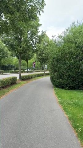 A paved pathway winds through a tree-lined area. On the left, a neat row of green bushes separates the pathway from a road where cars are visible. A line of tall, leafy trees stands behind the bushes. Several white signs with blue symbols are placed along the side of the road. On the right, a dense green hedge flanks the pathway, followed by a metal fence with a concrete base. The sky above is cloudy. The video captures a slow, forward-moving perspective, as if walking along the path.