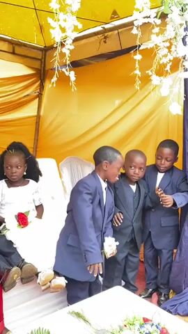 Here's a description of the video:

The video shows four young children dressed up, likely for a wedding. A girl with braided hair and a white dress sits on a chair, holding a red rose. Three boys in blue suits are standing near her.  The boys are playfully pushing each other and picking up white flowers that are on the ground. The scene takes place under a tent-like structure, draped with yellow and blue fabrics and decorated with hanging white flowers. The background is blurred.