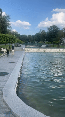 Afternoon at a park with fountains, wildlife enclosures, and swans