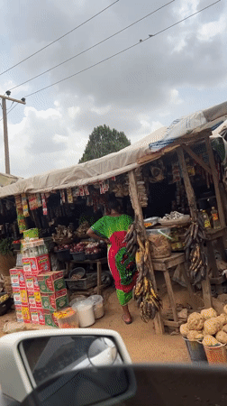 Vehicle passengers document vibrant roadside market in Abuja