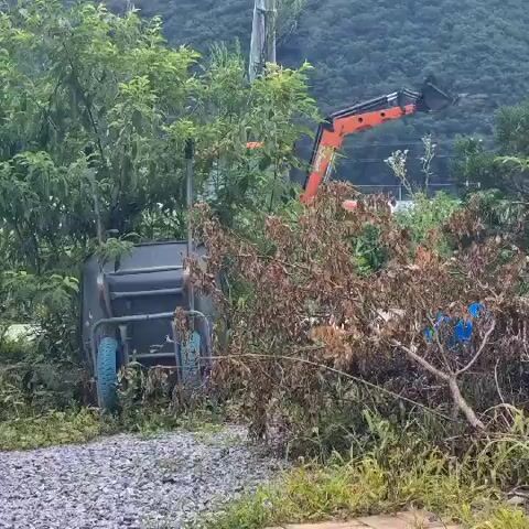 A stationary, overturned gray cart with blue wheels lies on its side in the foreground, partially obscured by overgrown brown and green vegetation. Behind the cart, an orange excavator is visible, its front loader raised. The excavator is positioned amidst a dense growth of trees and foliage. In the background, a tall, thin, white structure, possibly a pole or antenna, stands vertically. Beyond that, a large, tree-covered mountain dominates the landscape under an overcast sky. The overall scene depicts a cluttered, overgrown outdoor environment with heavy machinery.