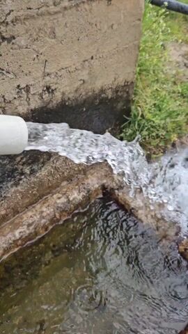 A short video captures clear water flowing vigorously from an unseen source, likely a pipe, into a concrete irrigation channel. The water splashes as it enters a small basin within the channel before continuing its flow. The concrete channel appears well-worn and contains some small rocks and debris. Lush green grass grows along the right bank of the channel, contrasting with the concrete structure. The scene is outdoors and appears to be daytime, suggesting a rural or agricultural setting. The location is Drenkovo, Bulgaria. No people or visible text are present in the video.