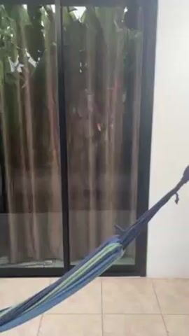 The video shows a hammock made of blue and green rope, hanging in front of a sliding glass door.  Behind the door, a woman in a bikini appears to be taking a selfie. The patio floor is tiled.