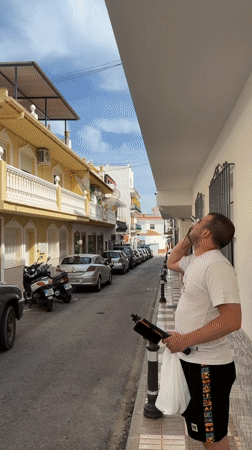 Man spots stuffed monkey decoration on Spanish building rooftop
