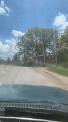 Vehicle drives through tree-lined road in Haykavan, Armenia