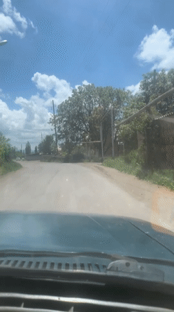 Vehicle drives through tree-lined road in Haykavan, Armenia