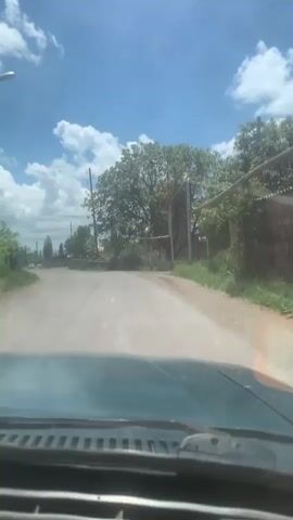 The video shows a view from inside a vehicle driving down a paved road. The road is lined with grass and trees. There are utility poles and power lines visible. In the distance, a large tree with lush green leaves stands prominently, with a fence and some structures behind it. The sky is blue with scattered white clouds, suggesting a daytime scene. The vehicle appears to be moving forward, indicated by the changing perspective and slight motion blur. The scene appears to be rural or semi-rural.