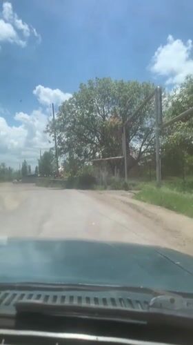 Vehicle drives through tree-lined road in Haykavan, Armenia
