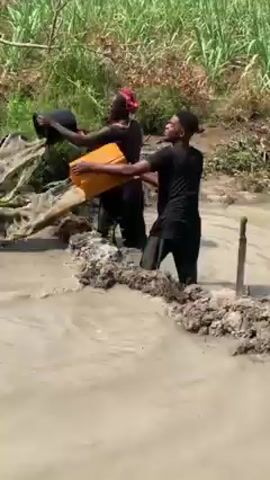 A woman and a man stand in a muddy pool of water and throw buckets of mud onto the shore. The woman wears a brown t-shirt, dark pants, and a red bandana. She is scooping mud into a black bucket. The man wears a black t-shirt and dark pants. He is pouring mud from a yellow container. They are working together to build a wall of mud on the shore of the pond. A metal stake is stuck in the mud near the man. Tall grass grows in the background.