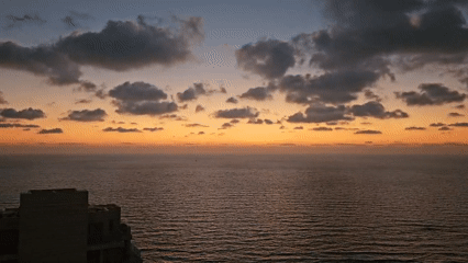 Bat Yam beachfront at golden hour: cats, birds, and sea views
