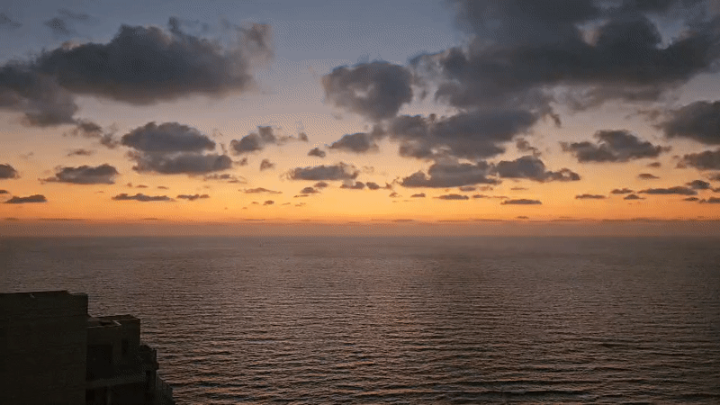 Bat Yam beachfront at golden hour: cats, birds, and sea views