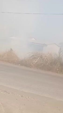 A hazy, smoky atmosphere obscures a rural scene. In the foreground, a dirt road runs horizontally across the bottom of the frame. Dry, brown grass and reeds are visible on the side of the road. In the background, obscured by the smoke, are the roofs and walls of several small buildings. The smoke appears to be emanating from the area behind the buildings, suggesting a fire or controlled burn. No people are visible in the footage. The sky is a pale, hazy blue.