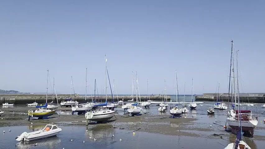 A wide shot captures a harbor with numerous sailboats and a few smaller motorboats. The tide is low, causing many of the sailboats to rest on the muddy bottom of the harbor. The sky is clear and blue. In the foreground, a white motorboat is partially submerged in shallow water. A person in yellow shorts and a white shirt is visible near a sailboat on the left side of the frame. Seagulls are scattered across the muddy ground and in the water. The background shows a stone breakwater or pier and a distant coastline. The overall scene depicts a tranquil harbor during low tide on a sunny day.