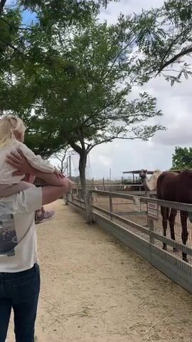 The video shows an outdoor area, possibly a petting zoo, with a man carrying a young child on his shoulders. The man and child are looking at a fenced-in area containing a dromedary camel and a brown horse. The horse is standing near the fence, close to a green feeding trough. The enclosure has a sandy ground and includes what appears to be a shelter in the background. The sky is overcast.