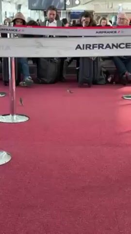 The video shows a waiting area with an Air France barrier. Several people are visible behind the barrier, some sitting and others standing, waiting. Suitcases and bags are placed on the red carpet. A flight information display board is visible in the background. The scene appears to be an airport terminal.