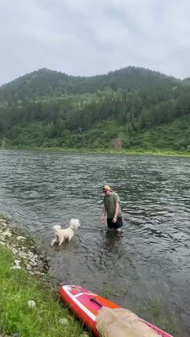 A person wearing a hat and green shirt stands in shallow water near the shore of a wide river. A white, fluffy dog is also in the water, facing the person. The person appears to be interacting with the dog, possibly throwing something. A pink and white paddleboard lies on the grassy shore in the foreground. The river is surrounded by lush green, tree-covered hills under an overcast sky.