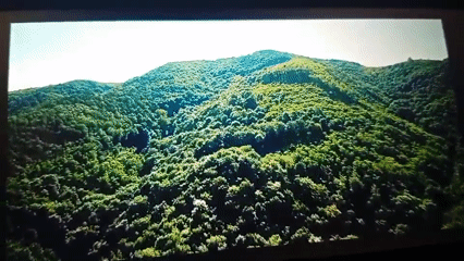 Forest aerial view and medieval scene recorded simultaneously