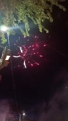 The video shows a nighttime fireworks display. The camera is positioned low, looking up towards the night sky where fireworks are exploding. A tree branch with green leaves is visible in the top left corner, partially obscuring the view. There's a street lamp with a light fixture visible in the left side of the frame, illuminating a small area. Fireworks in various colors and shapes explode in the dark sky, accompanied by smoke. The explosions create bursts of light, predominantly red and white. The sound of the fireworks is audible.