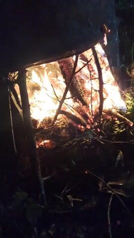 The video captures a close-up view of a roaring bonfire at night. The main subject is the fire itself, consisting of burning logs and branches that emit bright orange and yellow flames. The fire appears to be quite large and intense, with visible embers at its base. Surrounding the burning wood are darker, unburnt branches and what appears to be dry foliage, suggesting an outdoor setting. The light from the fire illuminates the immediate area, contrasting sharply with the deep darkness of the background, indicating that it is nighttime. The camera perspective is low, looking up into the heart of the flames. The video includes a slight, quick pan upwards, bringing more of the bright flames into view. There are no people visible, nor any discernible text. The scene conveys a sense of warmth and light in a dark environment.