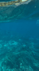 Diver enters turquoise waters off Nusa Penida coast