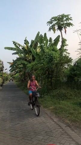 A man rides a bicycle down a paved road lined with lush vegetation. He is wearing a pink tank top and blue shorts. The road is made of interlocking bricks and appears to be in a rural or semi-rural area. Banana trees and a papaya tree are visible on the right side of the road, with the papaya tree bearing fruit. The sky is clear and appears to be late afternoon or early evening. The man is looking forward, as if focused on his ride. There is another person on a bicycle further down the road in the distance.