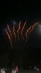 Fireworks display over Krichim, Bulgaria, draws a crowd